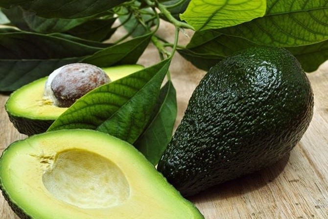 Pemanfaatan Tanaman Herbal Daun Alpukat Dan Pemeriksaan Kolesterol Darah Pada Lansia